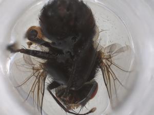  ( - CBG-B01034-A02)  @11 [ ] CreativeCommons - Attribution Share - Alike (2025) Centre for Biodiversity Genomics Centre for Biodiversity Genomics