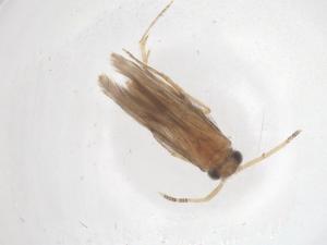  ( - CBG-B01429-D03)  @11 [ ] CreativeCommons - Attribution Share - Alike (2025) Centre for Biodiversity Genomics Centre for Biodiversity Genomics