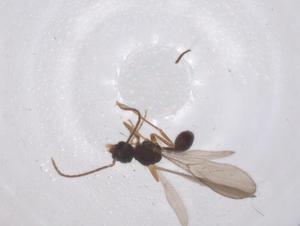  ( - CBG-B02323-D08)  @11 [ ] CreativeCommons - Attribution Share - Alike (2025) Centre for Biodiversity Genomics Centre for Biodiversity Genomics