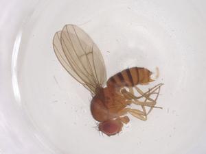  ( - CBG-B02324-A11)  @11 [ ] CreativeCommons - Attribution Share - Alike (2025) Centre for Biodiversity Genomics Centre for Biodiversity Genomics