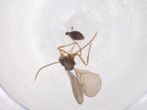  ( - CBG-B20219-G08)  @11 [ ] CreativeCommons - Attribution Share - Alike (2025) Centre for Biodiversity Genomics Centre for Biodiversity Genomics