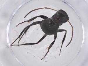  ( - CBG-B20223-E05)  @11 [ ] CreativeCommons - Attribution Share - Alike (2025) Centre for Biodiversity Genomics Centre for Biodiversity Genomics