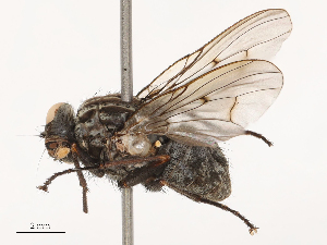  ( - CBG-B02343-G11)  @11 [ ] CreativeCommons - Attribution Share - Alike (2025) CBG Photography Group Centre for Biodiversity Genomics
