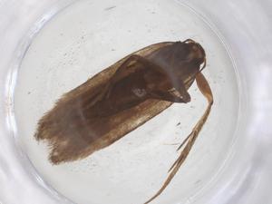  ( - CBG-B02377-A02)  @11 [ ] CreativeCommons - Attribution Share - Alike (2025) Centre for Biodiversity Genomics Centre for Biodiversity Genomics