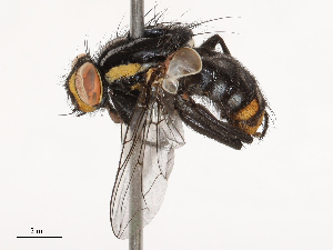  ( - CBG-B02492-B06)  @11 [ ] CreativeCommons - Attribution Share - Alike (2025) CBG Photography Group Centre for Biodiversity Genomics