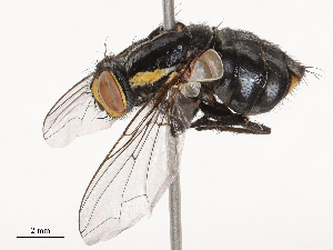  ( - CBG-B02492-C04)  @11 [ ] CreativeCommons - Attribution Share - Alike (2025) CBG Photography Group Centre for Biodiversity Genomics