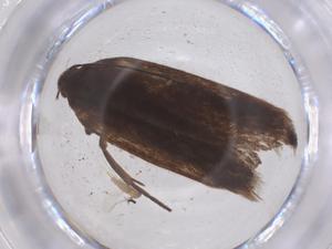  ( - CBG-B03890-F03)  @11 [ ] CreativeCommons - Attribution Share - Alike (2025) Centre for Biodiversity Genomics Centre for Biodiversity Genomics