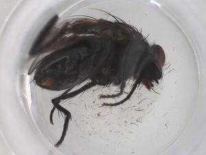  ( - CBG-B20448-A07)  @11 [ ] CreativeCommons - Attribution Share - Alike (2025) Centre for Biodiversity Genomics Centre for Biodiversity Genomics