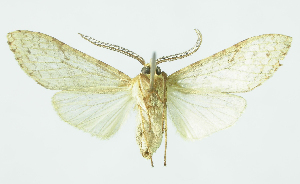  ( - INB0004115903)  @13 [ ] CreativeCommons - Attribution Non-Commercial No Derivatives (2011) Alex Smith University of Guelph