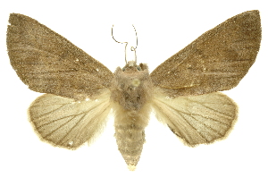  ( - INB0003087904)  @14 [ ] Copyright (2012) Juan Mata Lorenzen INBio