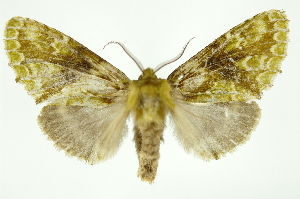  ( - INB0003145922)  @14 [ ] Copyright (2012) Juan Mata Lorenzen Unspecified