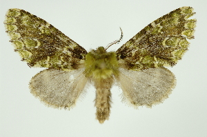  ( - INB0003153988)  @14 [ ] Copyright (2012) Juan Mata Lorenzen Unspecified