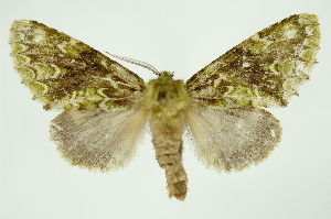  ( - INB0003155304)  @14 [ ] Copyright (2012) Juan Mata Lorenzen Unspecified