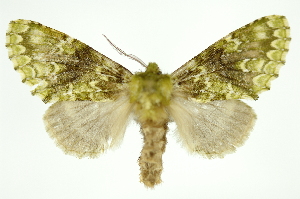  ( - INB0003316538)  @13 [ ] Copyright (2012) Juan Mata Lorenzen Unspecified