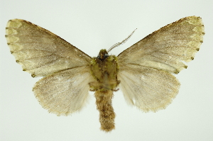  ( - INB0003316538)  @13 [ ] Copyright (2012) Juan Mata Lorenzen Unspecified