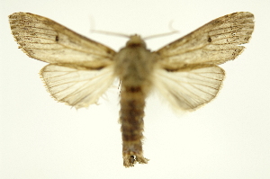  ( - INB0003327206)  @13 [ ] Copyright (2012) Juan Mata Lorenzen Unspecified