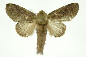  ( - INB0003386882)  @13 [ ] Copyright (2012) Juan Mata Lorenzen Unspecified
