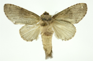  ( - INB0003386882)  @13 [ ] Copyright (2012) Juan Mata Lorenzen Unspecified