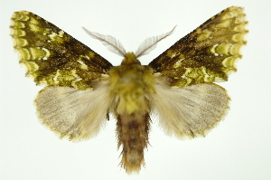  ( - INB0003478177)  @13 [ ] Copyright (2012) Juan Mata Lorenzen Unspecified