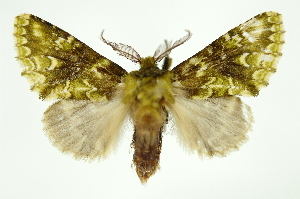  ( - INB0003487037)  @14 [ ] Copyright (2012) Juan Mata Lorenzen Unspecified