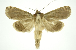  ( - INB0003849946)  @13 [ ] Copyright (2012) Juan Mata Lorenzen Unspecified