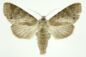  ( - INB0003852601)  @14 [ ] Copyright (2012) Juan Mata Lorenzen Unspecified