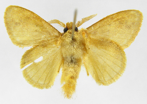  ( - INB0004033892)  @14 [ ] Copyright (2012) J. Montero Instituto Nacional de Biodiversidad