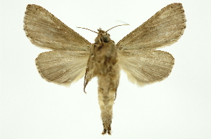 ( - INB0004153853)  @12 [ ] Copyright (2012) Juan Mata Lorenzen Unspecified