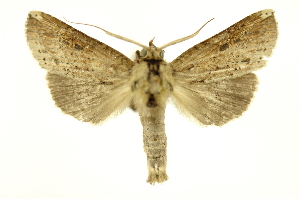  ( - INB0004192904)  @13 [ ] Copyright (2012) Juan Mata Lorenzen Unspecified