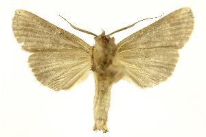  ( - INB0004192904)  @13 [ ] Copyright (2012) Juan Mata Lorenzen Unspecified