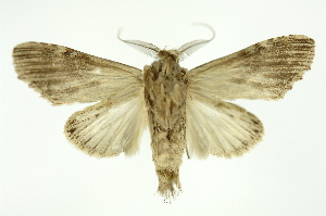  ( - INB0004204307)  @12 [ ] Copyright (2012) Juan Mata Lorenzen Unspecified
