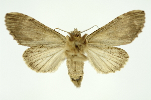 ( - INB0004222523)  @12 [ ] Copyright (2012) Juan Mata Lorenzen Unspecified