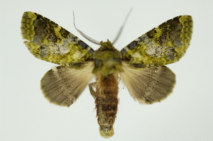  ( - INB0004225026)  @14 [ ] Copyright (2012) Juan Mata Lorenzen Unspecified