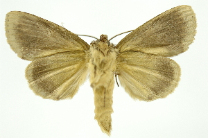  ( - INB0004243147)  @14 [ ] Copyright (2012) Juan Mata Lorenzen Unspecified