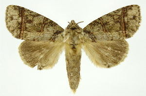  ( - INB0004280480)  @14 [ ] Copyright (2012) Juan Mata Lorenzen Unspecified