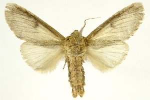 ( - INBIOCRI000360163)  @11 [ ] Copyright (2012) Juan Mata Lorenzen INBio