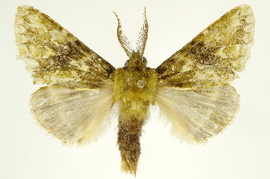  ( - INBIOCRI000392871)  @14 [ ] Copyright (2012) Juan Mata Lorenzen INBio