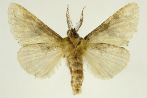  ( - INBIOCRI000392871)  @14 [ ] Copyright (2012) Juan Mata Lorenzen INBio