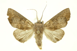  ( - INBIOCRI000542910)  @14 [ ] Copyright (2012) Juan Mata Lorenzen INBio