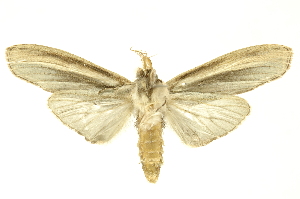  ( - INBIOCRI000947815)  @14 [ ] Copyright (2012) Juan Mata Lorenzen INBio