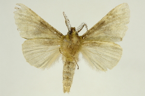  ( - INBIOCRI001338664)  @14 [ ] Copyright (2012) Juan Mata Lorenzen INBio