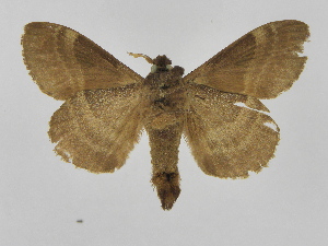  ( - INBIOCRI001374607)  @13 [ ] Copyright (2012) J. Montero Instituto Nacional de Biodiversidad