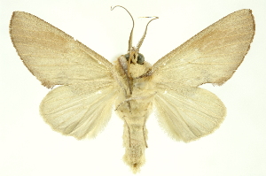  ( - INBIOCRI001376510)  @11 [ ] Copyright (2012) Juan Mata Lorenzen INBio