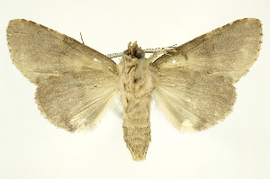  ( - INBIOCRI001410875)  @13 [ ] Copyright (2012) Juan Mata Lorenzen INBio