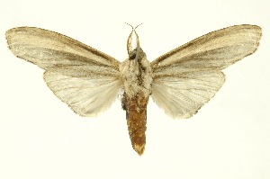  ( - INBIOCRI001875552)  @14 [ ] Copyright (2012) Juan Mata Lorenzen INBio