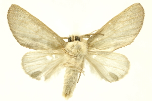  ( - INBIOCRI002132022)  @14 [ ] Copyright (2012) Juan Mata Lorenzen INBio