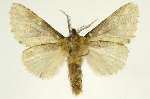  ( - INBIOCRI002243446)  @14 [ ] Copyright (2012) Juan Mata Lorenzen INBio