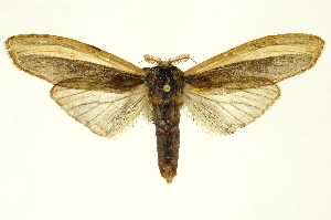  ( - INBIOCRI002355072)  @11 [ ] Copyright (2012) Juan Mata Lorenzen INBio
