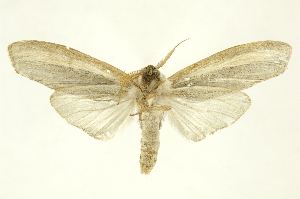  ( - INBIOCRI002386426)  @14 [ ] Copyright (2012) Juan Mata Lorenzen INBio
