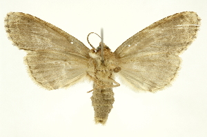  ( - INBIOCRI002441004)  @12 [ ] Copyright (2012) Juan Mata Lorenzen INBio